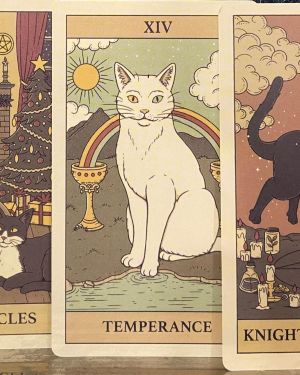 Carta del Tarot felino