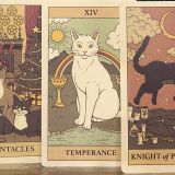 carta-del-tarot-felino