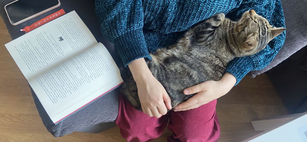 15349A2B-6DD5-43E5-AA53-017799CF95D5_1_201_a