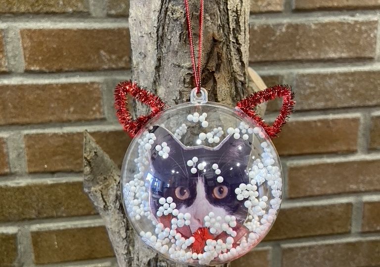 931C563A-69EB-4BD6-ADA8-B2D70B0ABC57_1_105_c