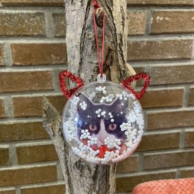 931C563A-69EB-4BD6-ADA8-B2D70B0ABC57_1_105_c