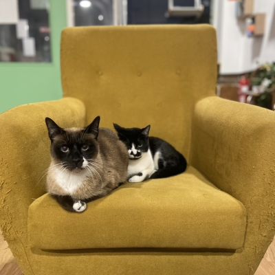 9AA282CD-1BBE-4766-9E2A-257A623F247C_1_105_c