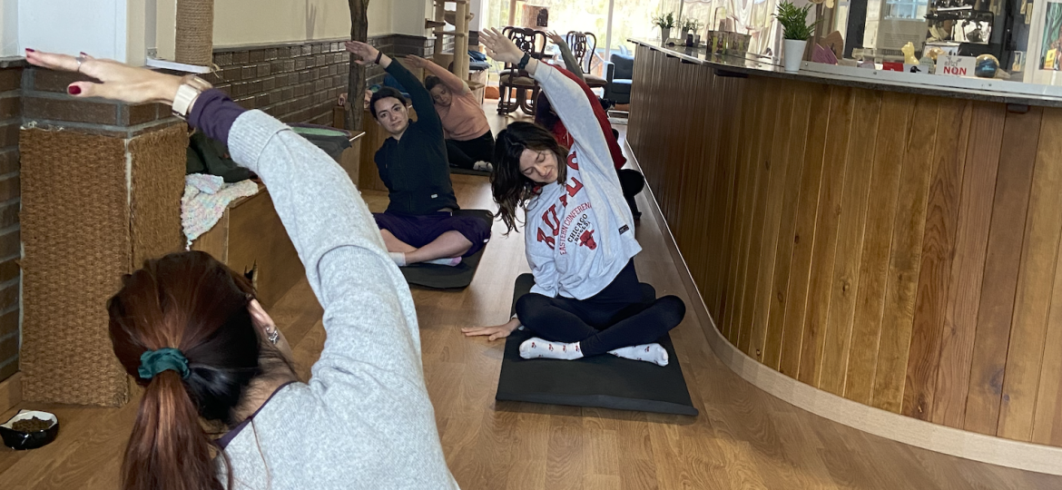 Captura de pantalla 2026-03-22 a las 13.39.17