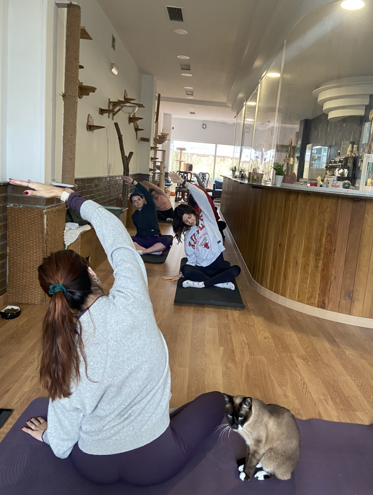 Captura de pantalla 2026-03-22 a las 13.39.17