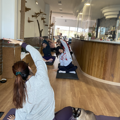 Captura de pantalla 2026-03-22 a las 13.39.17