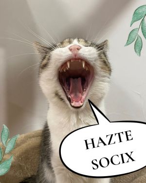 Hazte socix