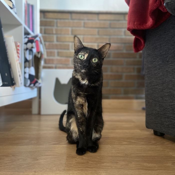 Mara